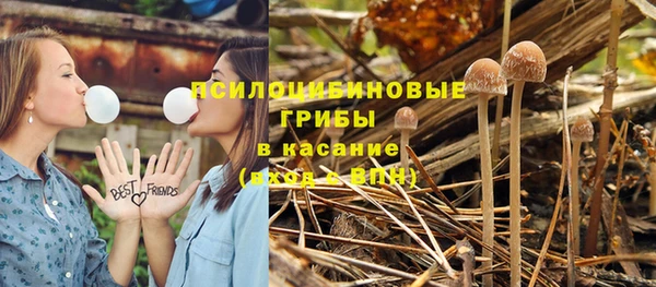 марихуана Бородино