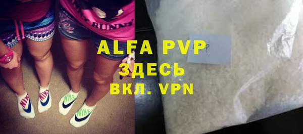 индика Бронницы