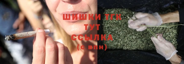 mdpv Богородск
