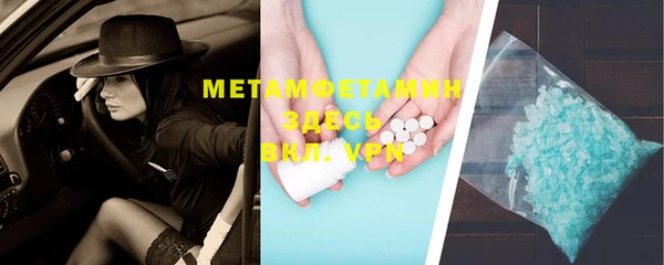 индика Бронницы
